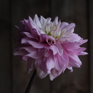 KP22_1