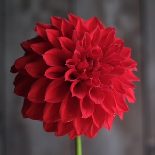 C4D22_11