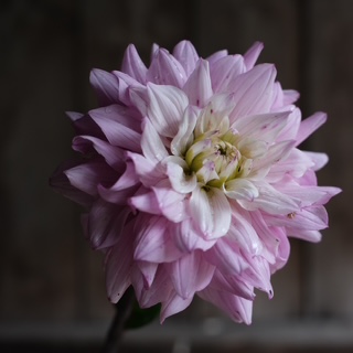 KP22_1